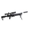 PCP AEA Challenger Pro EagleWolf Air Rifle